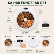 Automatisk Foderautomat för Katt – 6 Måltider med Timer för Torr- & Våtfoder