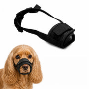 Munkorg för Hund – Tryggare Promenader och Möten