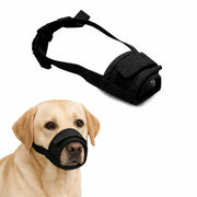 Munkorg för Hund – Tryggare Promenader och Möten