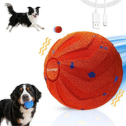 Aktivitetsboll för hund