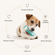 Hundgummi – slitstark hundleksak