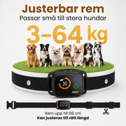 Antiskällhalsband för hund