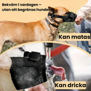 Munkorg för Hund – Tryggare Promenader och Möten