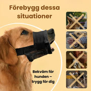 Munkorg för Hund – Tryggare Promenader och Möten