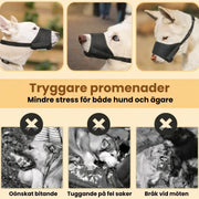 Munkorg för Hund – Tryggare Promenader och Möten