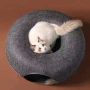 Mysig kattsäng med tunnel