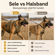 Prosafex dragsele för hund
