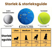 Aktivitetsboll för hund
