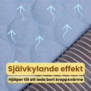 Coolivo svalkande kylmatta för hund