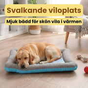 Coolivo svalkande kylmatta för hund
