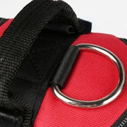 Detixy justerbar hundsele med reflex