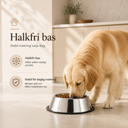 Matskål i rostfritt stål för hund & katt