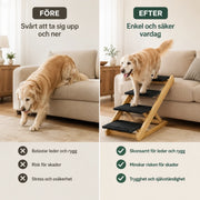 2-i-1 hundtrappa