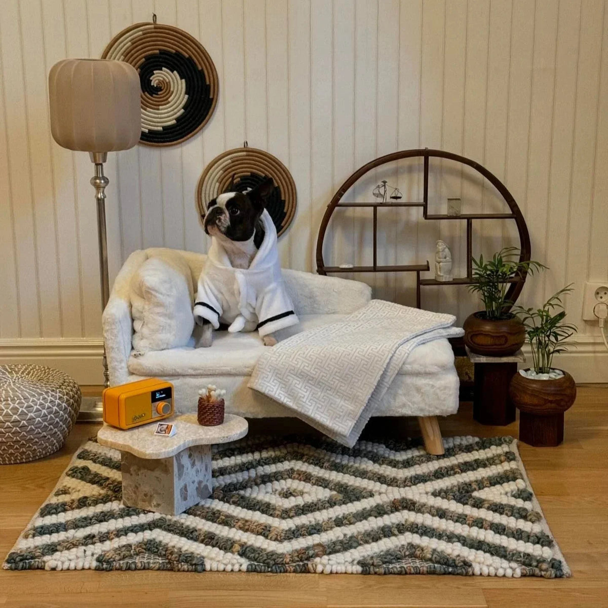ComfyPaws upphöjd hundbädd med ben