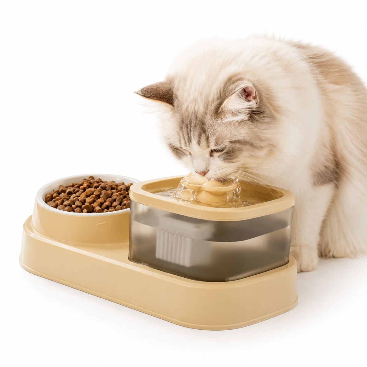 Kattfontän med matskål
