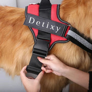 Detixy justerbar hundsele med reflex