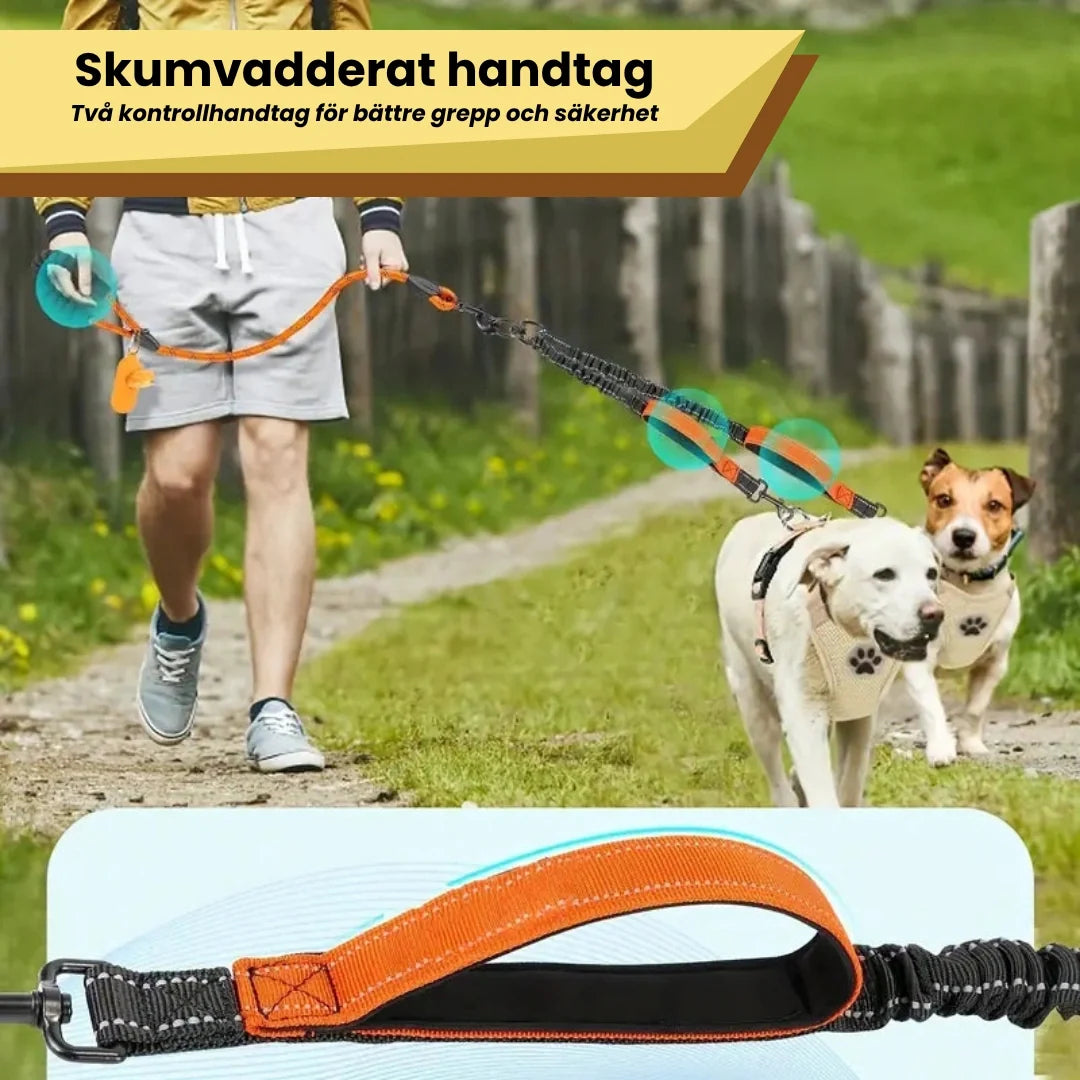 Dubbelkoppel med reflex för två hundar