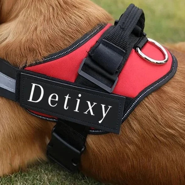 Detixy justerbar hundsele med reflex