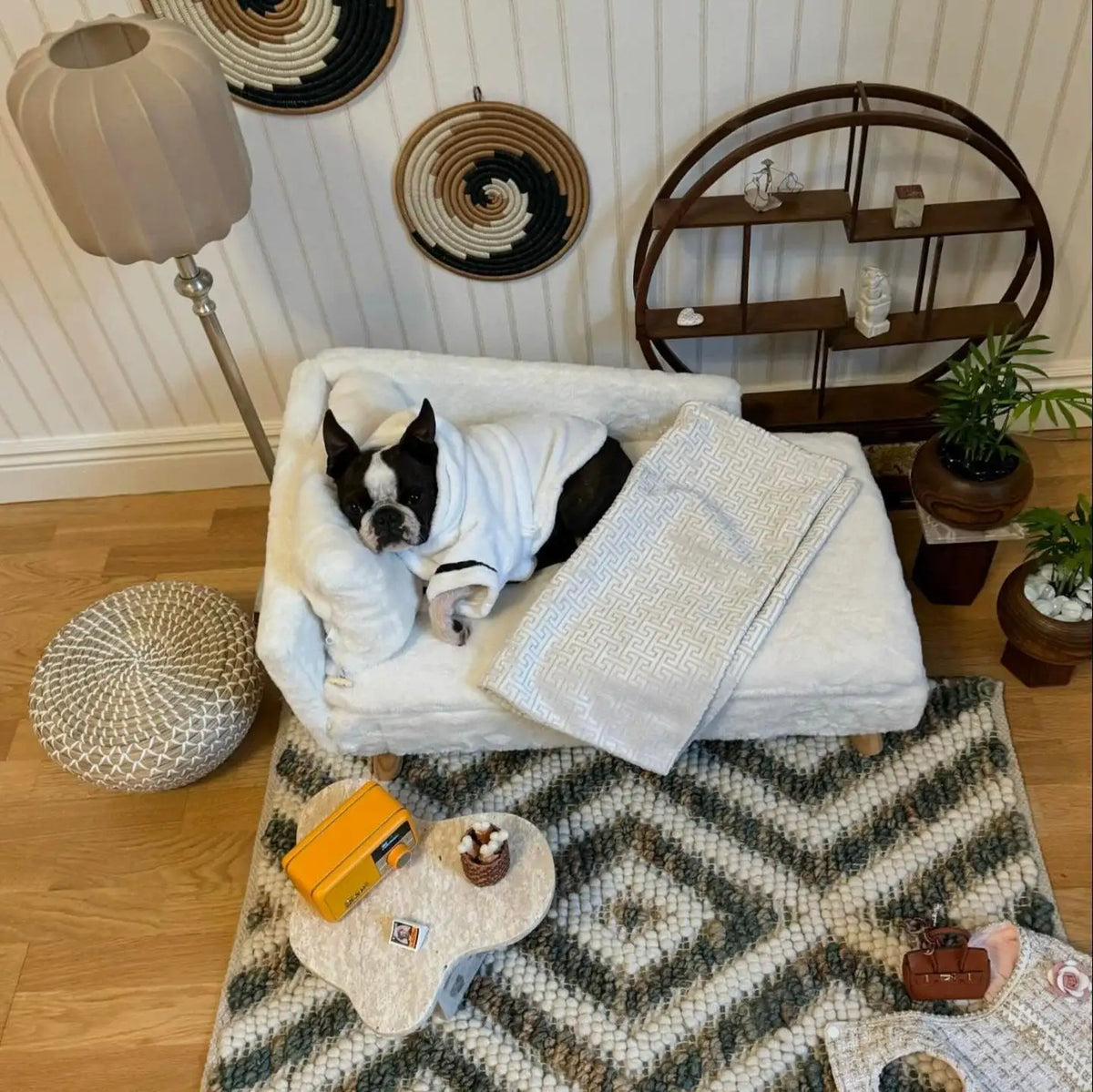 ComfyPaws upphöjd hundbädd med ben