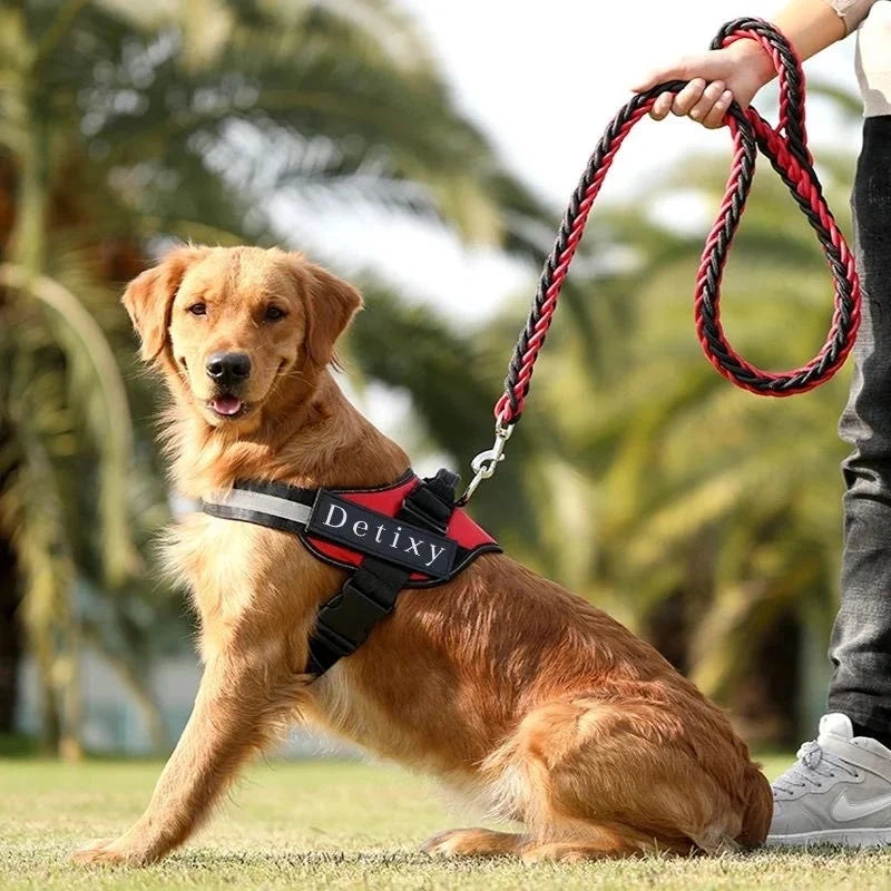 Detixy justerbar hundsele med reflex
