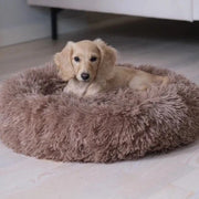 Mjuk donutbädd för hund och katt