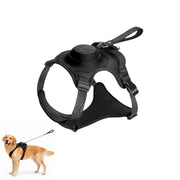 Hundsele med Inbyggt Flexikoppel – Smidigare Promenader Utan Trassel