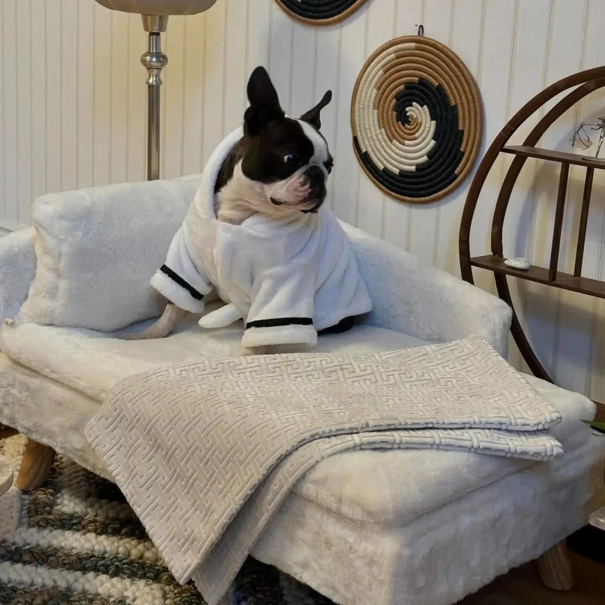 ComfyPaws upphöjd hundbädd med ben
