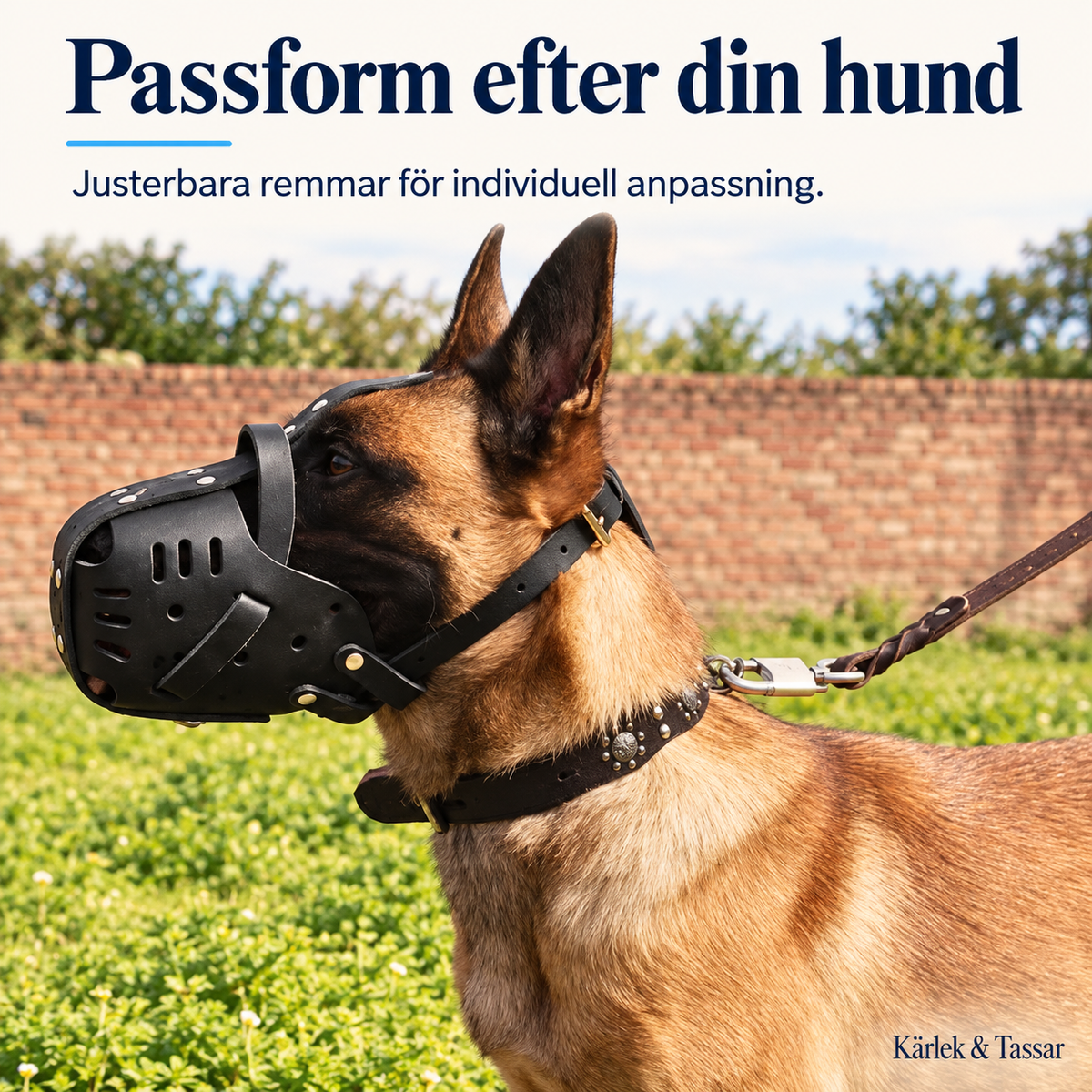 Munkorg för Stora Hundar – Justerbar