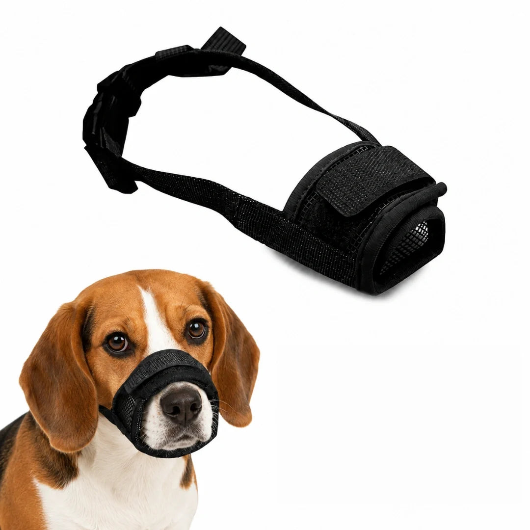 Munkorg för Hund – Tryggare Promenader och Möten