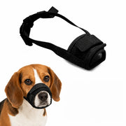 Munkorg för Hund – Tryggare Promenader och Möten
