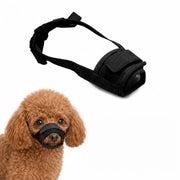 Munkorg för Hund – Tryggare Promenader och Möten