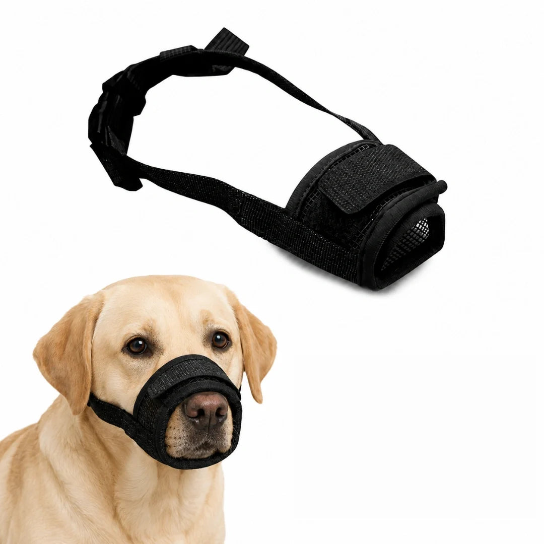 Munkorg för Hund – Tryggare Promenader och Möten