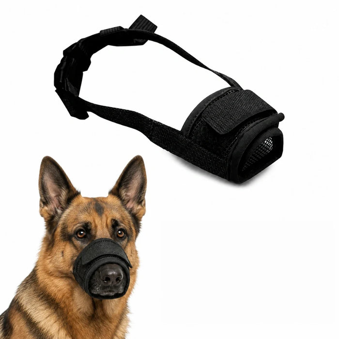 Munkorg för Hund – Tryggare Promenader och Möten