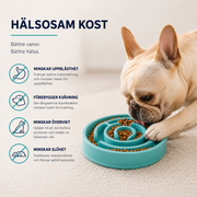 Slow Feeder Matskål för Hund & Katt – Långsammare Ätande & Mindre Hetsätning