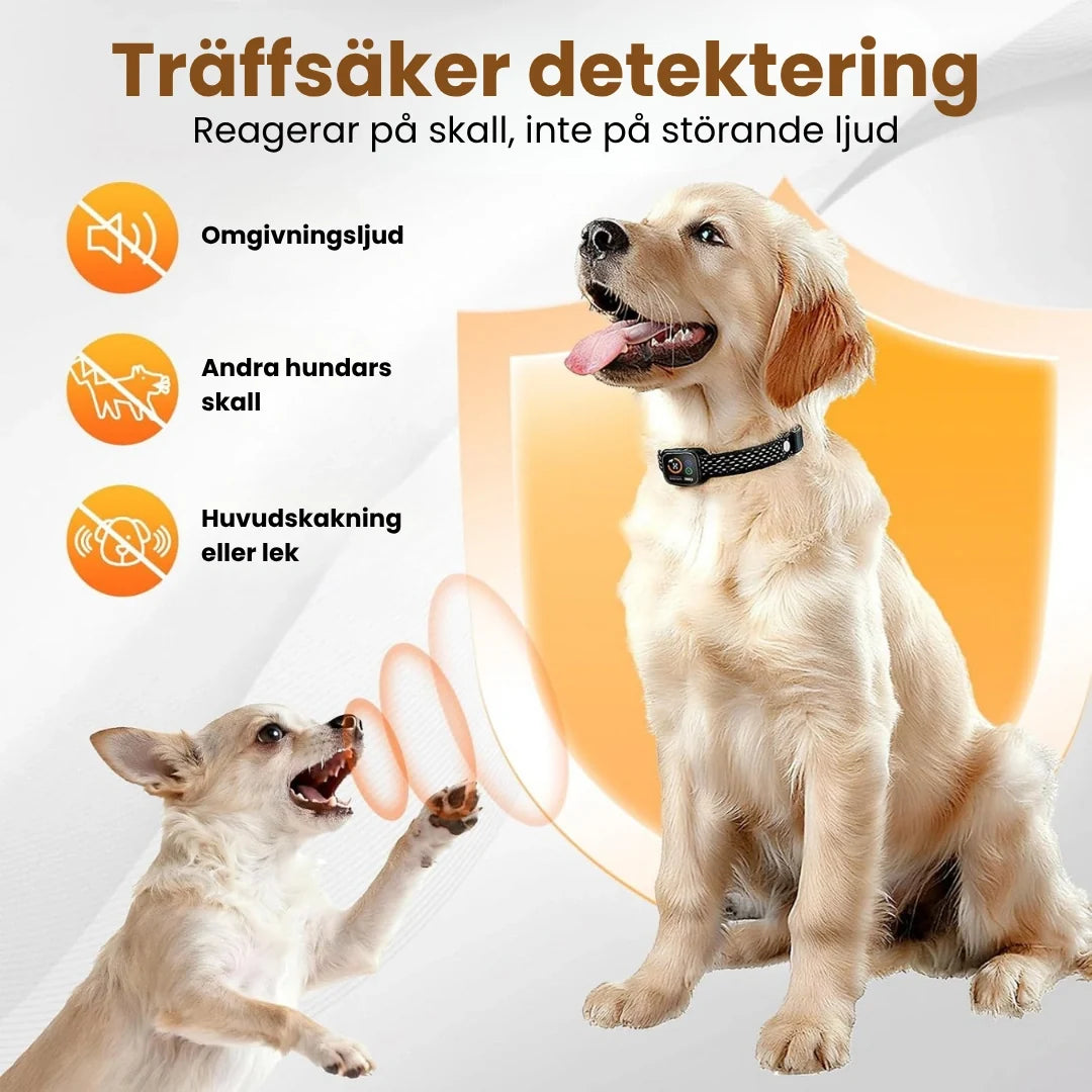 Antiskällhalsband för hund