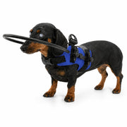 Skyddssele för Blind Hund med Halo-ring