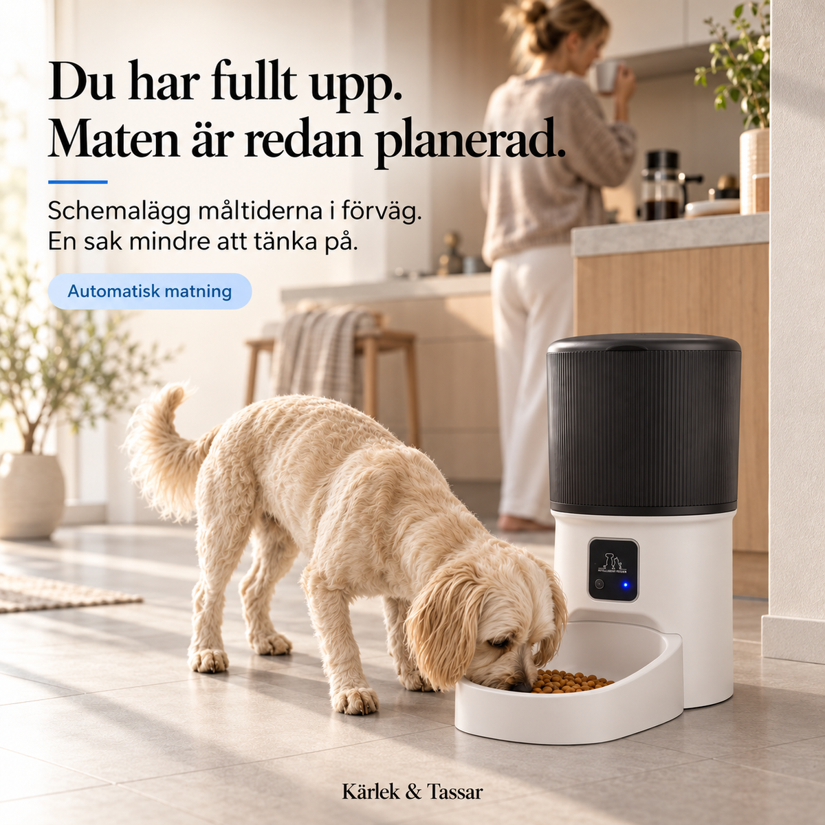 Smart Foderautomat för Hund & Katt – WiFi, Appstyrning & Schemalagda Måltider