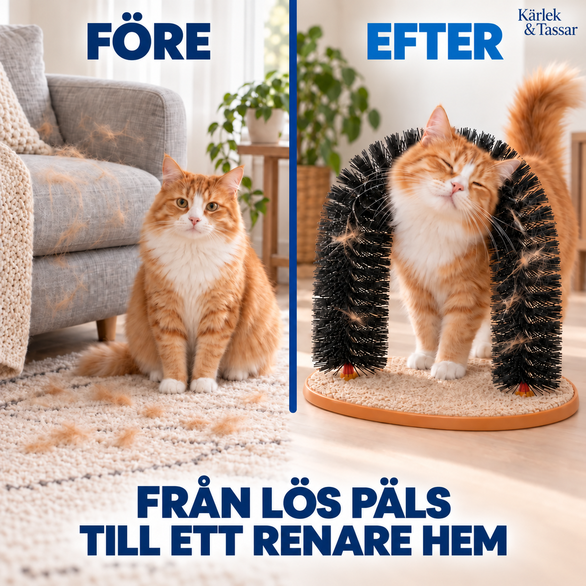 Självborste för katt – pälsvård, massage och klös i ett