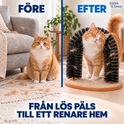 Självborste för katt – pälsvård, massage och klös i ett