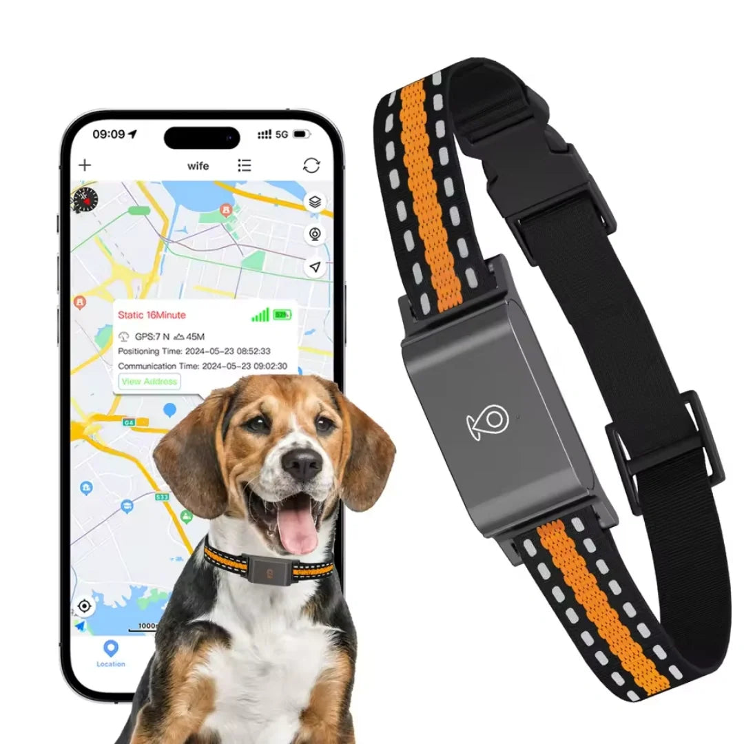 GPS Halsband för Husdjur
