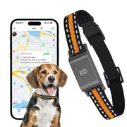 GPS Halsband för Husdjur