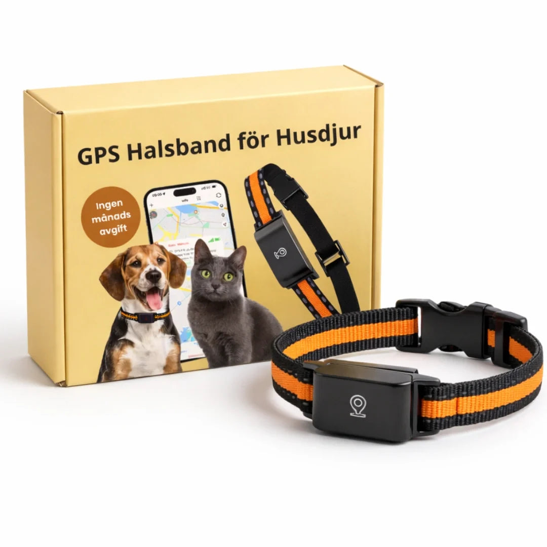 GPS Halsband för Husdjur