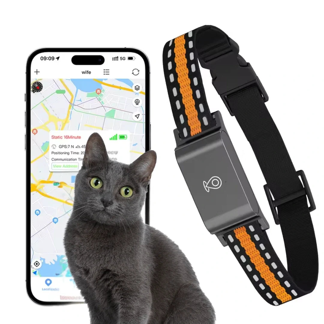 GPS Halsband för Husdjur