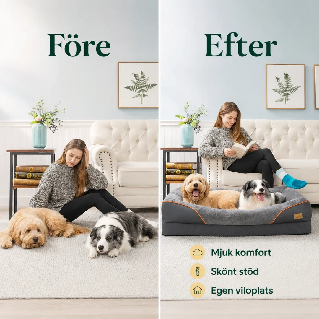 Ortopedisk Hundbädd med Stödjande Kant