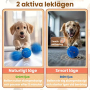 Aktivitetsboll för hund