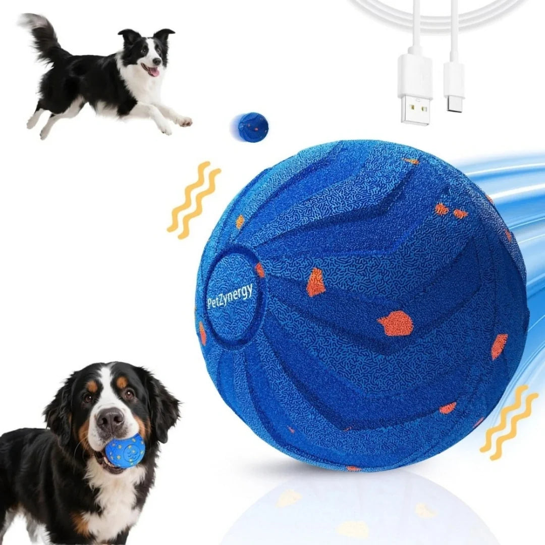 Aktivitetsboll för hund
