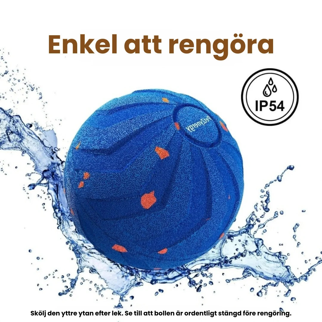 Aktivitetsboll för hund