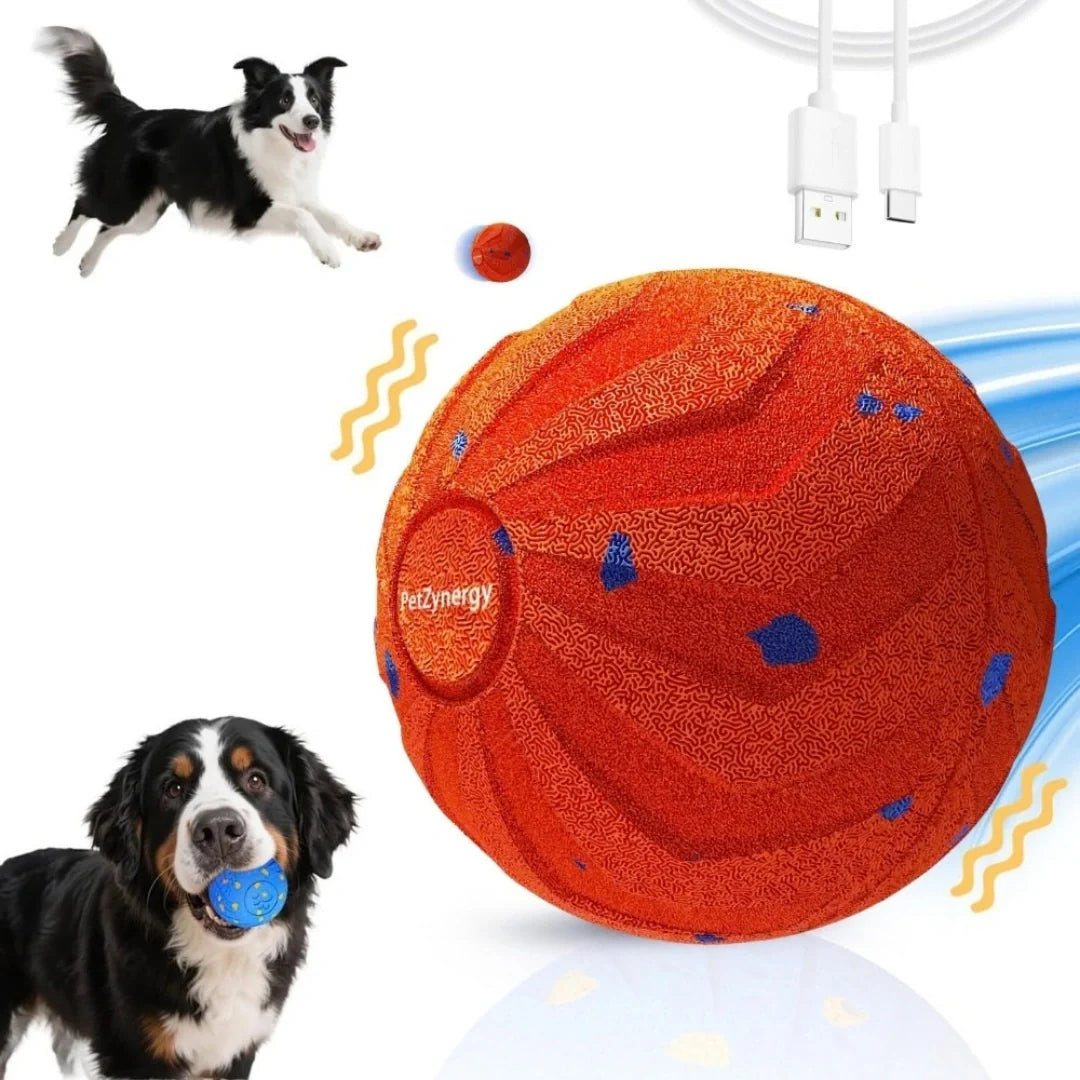 Aktivitetsboll för hund