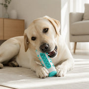 Hundgummi – slitstark hundleksak
