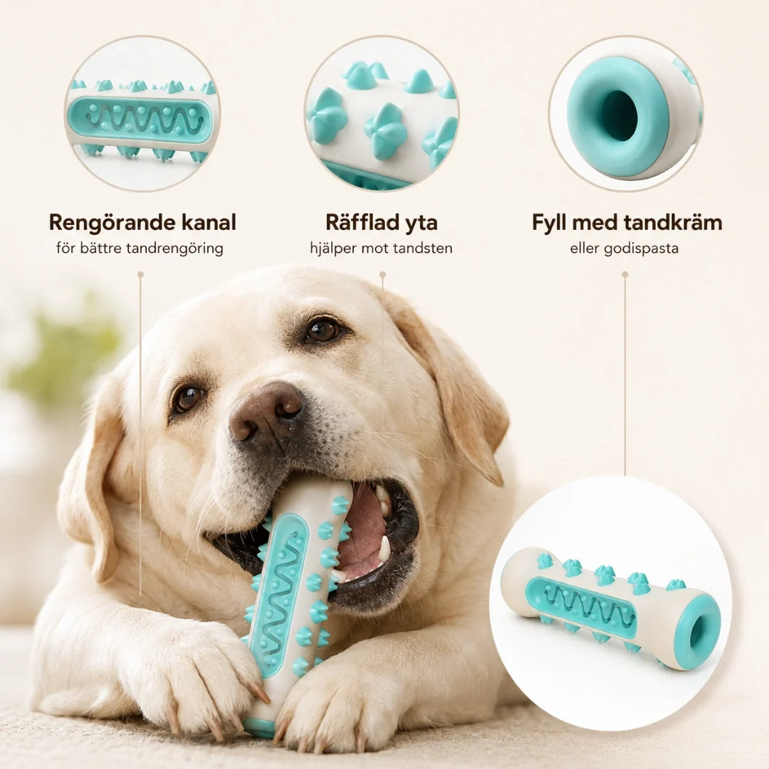 Hundgummi – slitstark hundleksak